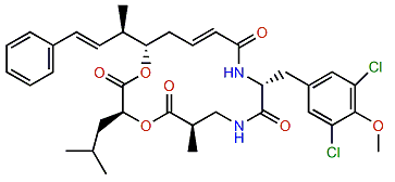 Cryptophycin 175